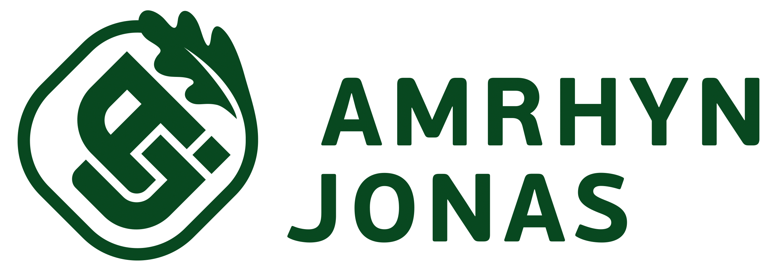 Logo Amrhyn Jonas